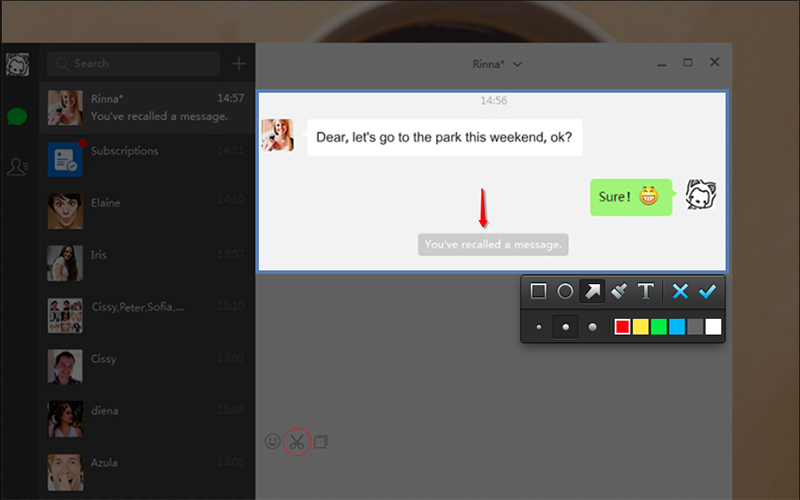 wechat web video call on pc